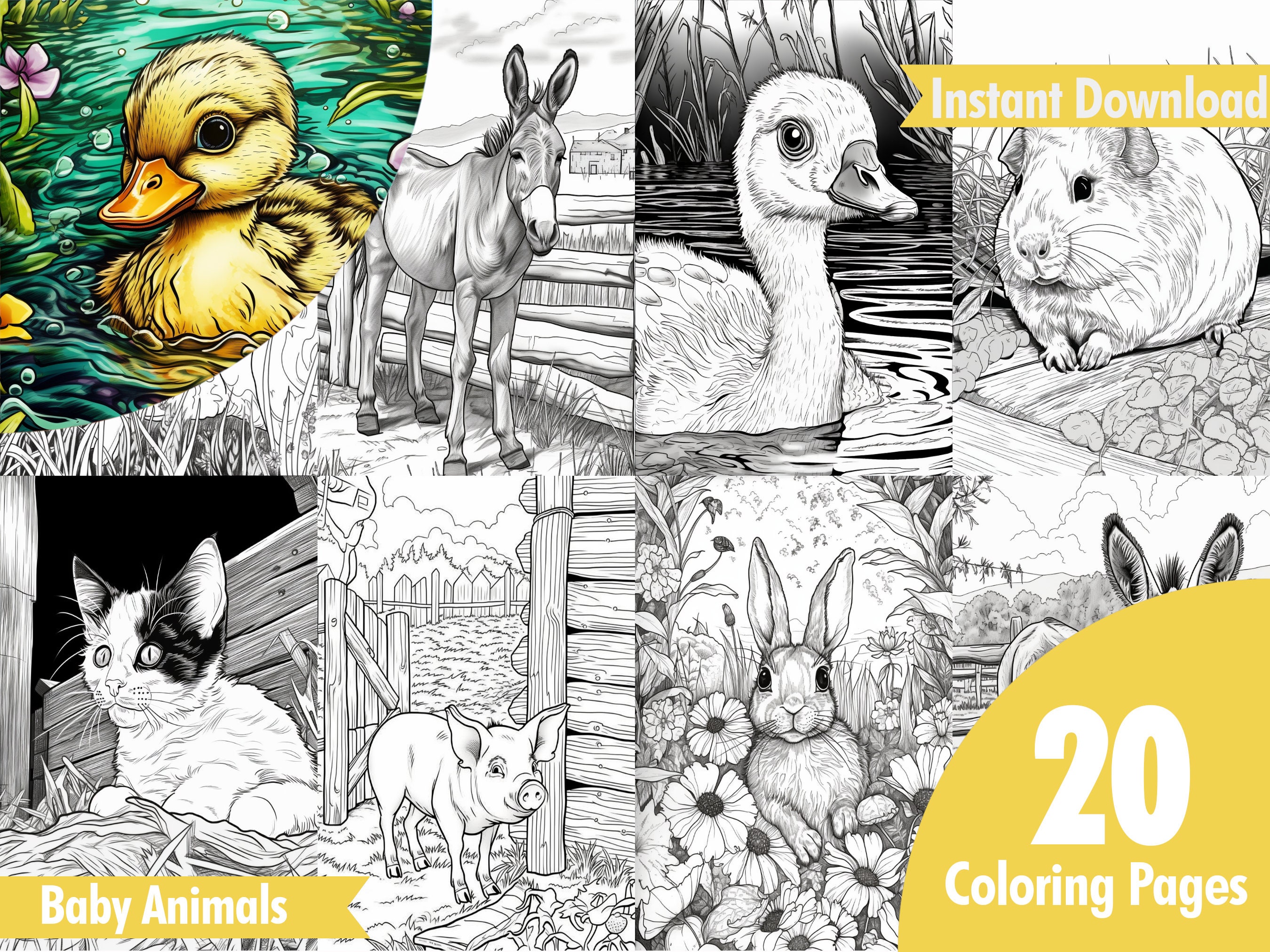 Baby Farm Animals Farm Animal Coloring Cute Farm Animals Coloring Pages ...