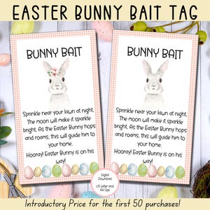 Easter Bunny Bait Tag, Easter Gift Tags, Easter Printables, Easter Basket Tags, Pink Printable Treat Bag Tag, Easter Bunny Letter
