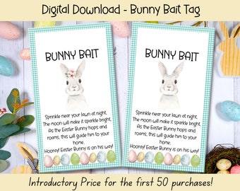 Easter Bunny Bait Tag, Easter Gift Tags, Easter Printables, Easter Basket Tags, Turquoise Printable Treat Bag Tag, Easter Bunny Letter
