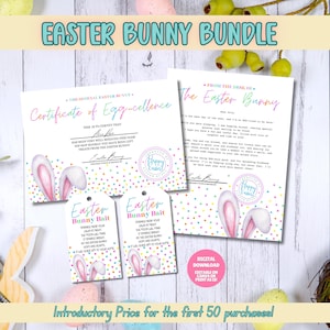 EDITIERBARE Osterhase Bundle, bunte Ostern Köder Tag, Osterhase Brief, Osterhase Zertifikat, Ostern Geschenkanhänger, Ostern Printable