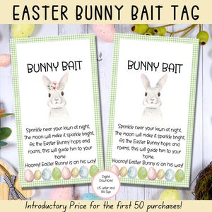 Easter Bunny Bait Tag, Easter Gift Tags, Easter Printables, Easter Basket Tags, Green Printable Treat Bag Tag, Easter Bunny Letter