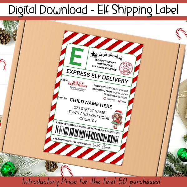 EDITABLE Elf Shipping Label, North Pole Delivery Tags, Santa Mail, Official Santa Delivery Tag, North Pole Sticker, Girl Elf Arrival Package