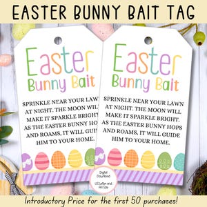 Easter Bunny Bait Tag, Easter Gift Tags, Easter Printables, Easter Basket Tags, Purple Printable Treat Bag Tag, Easter Bunny Letter