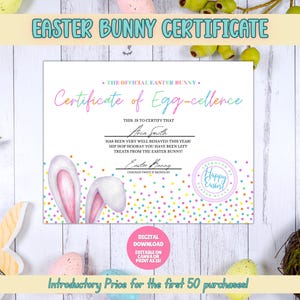 EDITABLE Certificate From Easter Bunny, Colorful Printable Easter Bunny, Easter Printable, Official from The Desk of the Easter Bunny