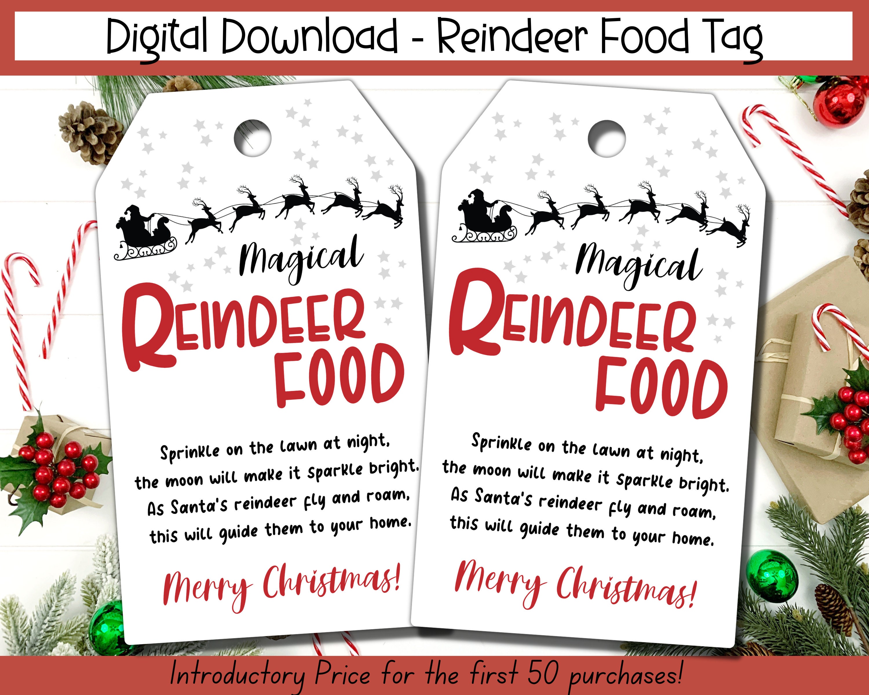 The Pink Lantern: Magic Reindeer Dust Recipe with Printable Tag