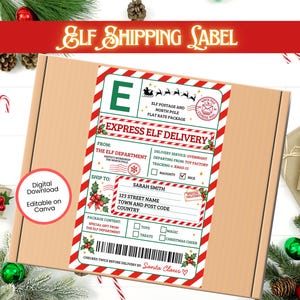 Puede incluir: Una caja de envío rectangular de cartón con una etiqueta decorativa de envío de elfo con rayas diagonales rojas y verdes. La etiqueta incluye texto como Express Elf Delivery, From The Elf Department y un código de barras con un gráfico de trineo.