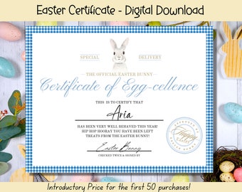 EDITABLE Certificate From Easter Bunny, Blue Printable Easter Bunny, Easter Printable, Official from The Desk of the Easter Bunny