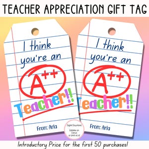 Teacher Appreciation Gift Tag, Staff Appreciation Gift Tag, Teacher Thank You Gift Tags, End Of Year School Tag, Teacher Appreciation Week