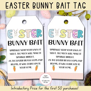 Easter Bunny Bait Tag, Easter Gift Tags, Easter Printables, Easter Basket Tags, Pink Printable Treat Bag Tag, Easter Bunny Letter