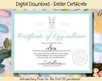 EDITABLE Certificate From Easter Bunny, Blue Printable Easter Bunny, Easter Printable, Official from The Desk of the Easter Bunny