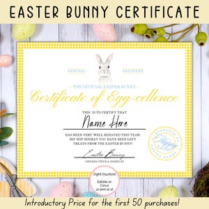 BEWERKBAAR certificaat van paashaas, gele afdrukbare paashaas, afdrukbaar Pasen, officieel van The Desk of the Easter Bunny