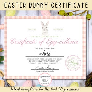 Certificat MODIFIABLE du lapin de Pâques, lapin de Pâques imprimable rose, Pâques imprimable, officiel du bureau du lapin de Pâques