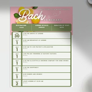 May include: A pink and green itinerary for a bachelorette party with the title "Bach Itinerary". The itinerary includes dates and times for activities such as arriving at an Airbnb, breakfast, rest and relaxation, axe throwing, a brewery visit, shopping, dinner and drinks, and leaving the Airbnb.