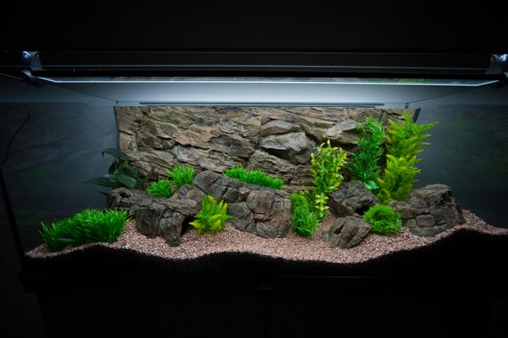 motto bekken vredig Rock 3D Aquarium Terrarium Background for 55/75 GALLON Tank - Etsy