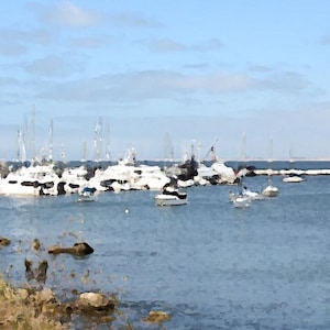 Boats in a Marina - Digital Print