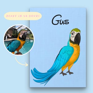 Estilo personalizado de dibujos animados de mascotas, arte personalizado de dibujos animados de mascotas, retrato de pájaro dibujado a mano, dibujos de mascotas de dibujos animados, regalo para amantes de las mascotas