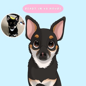 Cartoon Pet Art from Photo | Custom Pet Illustration | Dog, Cat, Animal Portrait | Personalized Gift, Digital Cartoon Art, Pet Cartoon Style