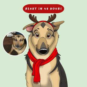 Custom Pet Portrait from Photo, Cartoon Pet Portrait, Digital Pet Illustration, Christmas Gift Pet Owner, Fur Mom Christmas Gift Pet Art
