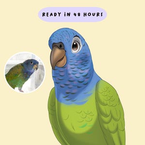 Hand-Drawn Pet Cartoon | Pet Bird Portrait | Custom Pet Art Christmas Gift | Fun Cartoon Illustration | Digital Pet Print | Pet Bird Art