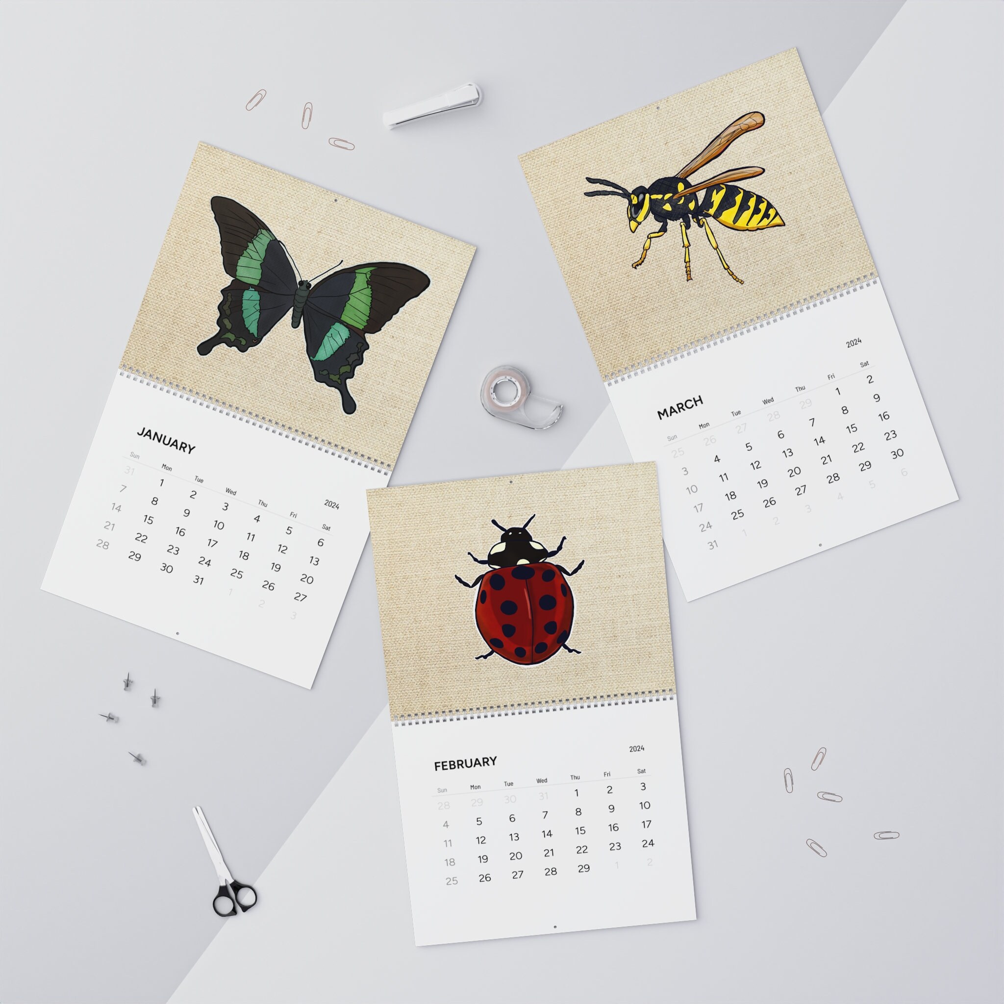2024 Insect Wall Calendars Cool Bug Calendar Entomology Entomologist