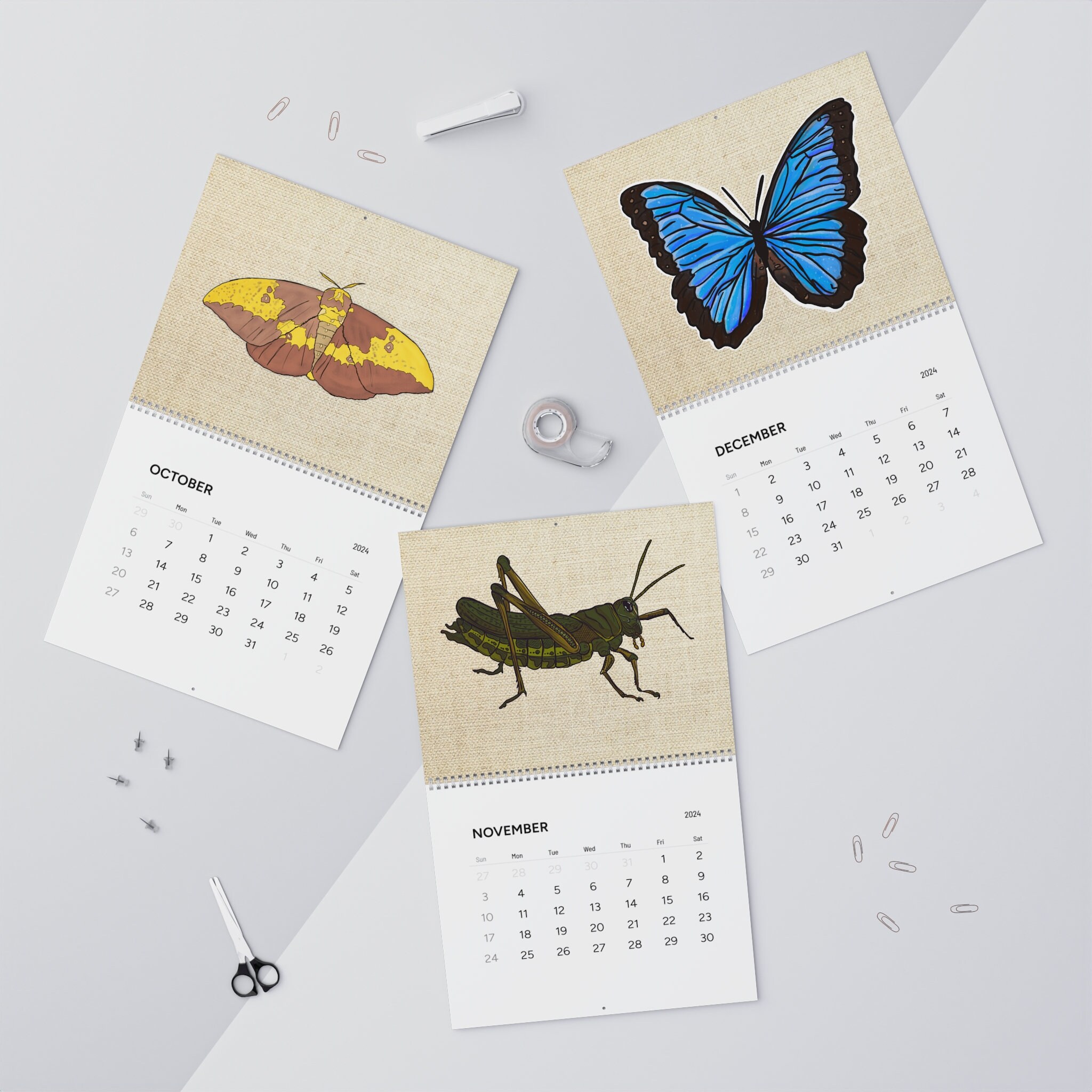 2024 Insect Wall Calendars Cool Bug Calendar Entomology Entomologist