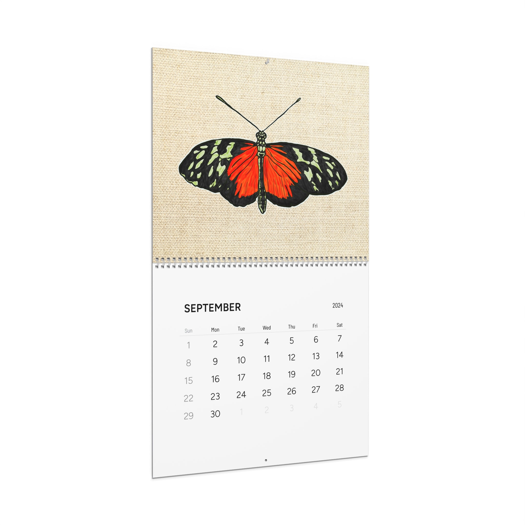 2024 Insect Wall Calendars Cool Bug Calendar Entomology Entomologist