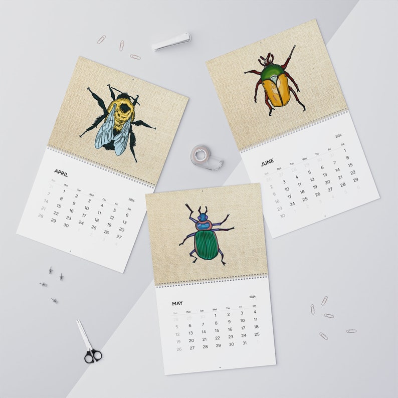 2024 Insect Wall Calendars Cool Bug Calendar Entomology Entomologist