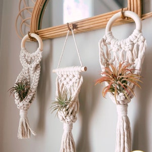 May include: Three macrame plant hangers with wooden rings and tassels, hanging on a wall with a mirror above. Each hanger has a small air plant inside.