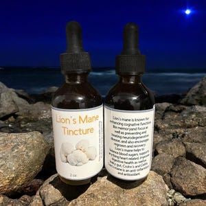 Peut inclure: Deux flacons en verre ambré de teinture de crinière de lion avec des compte-gouttes noirs, chacun avec une étiquette blanche. Les étiquettes affichent le texte "Lion's Mane Tincture" et une description du produit. Les flacons sont sur une surface rocheuse.