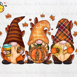 Fall Gnomes Png Sublimation Design, Fall Png, Autumn Png, Pumpkin Png, Thanksgiving Gnome Png, Autumn Leaves Png, Fall Color Png Downloads