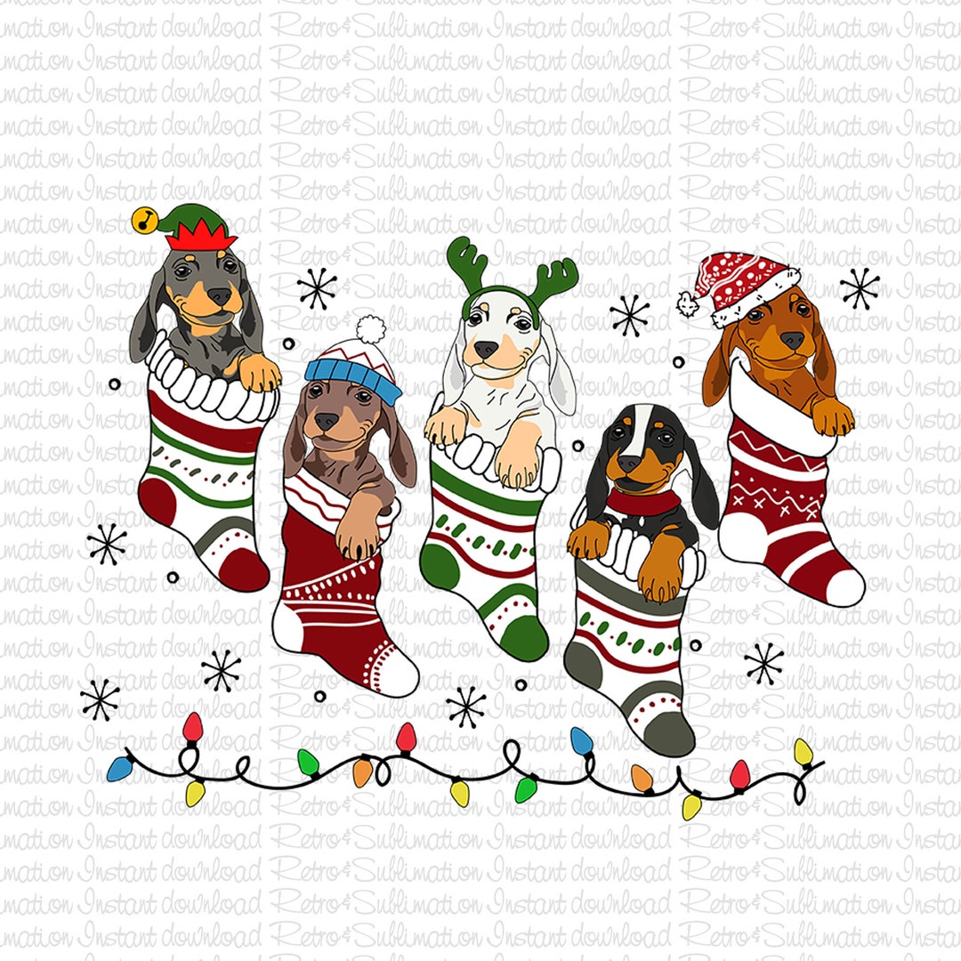Funny Dachshund Stockings Christmas Lights Png, Merry Christmas Png ...