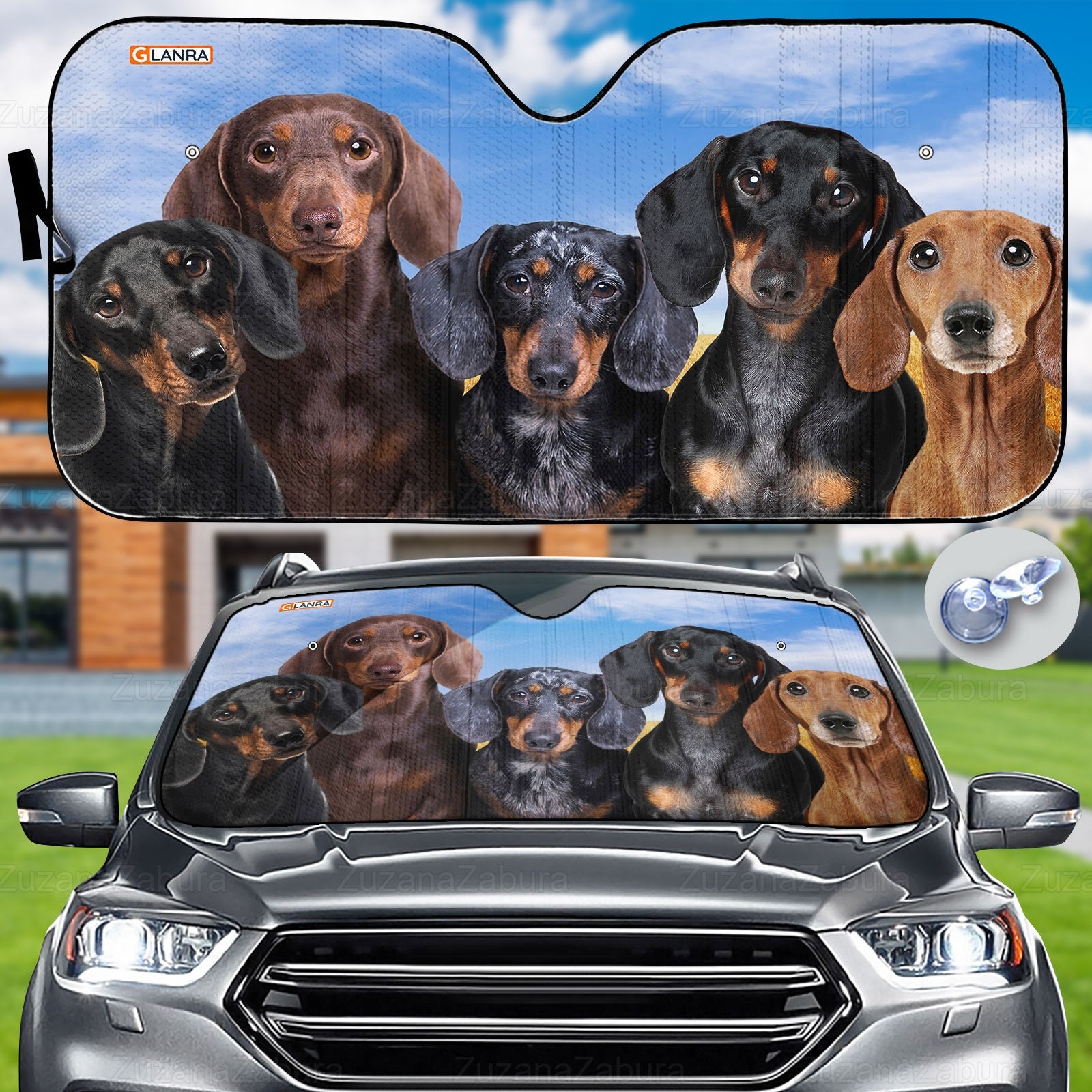 Dachshund Car Sunshade, Dog Windshield Sunshade