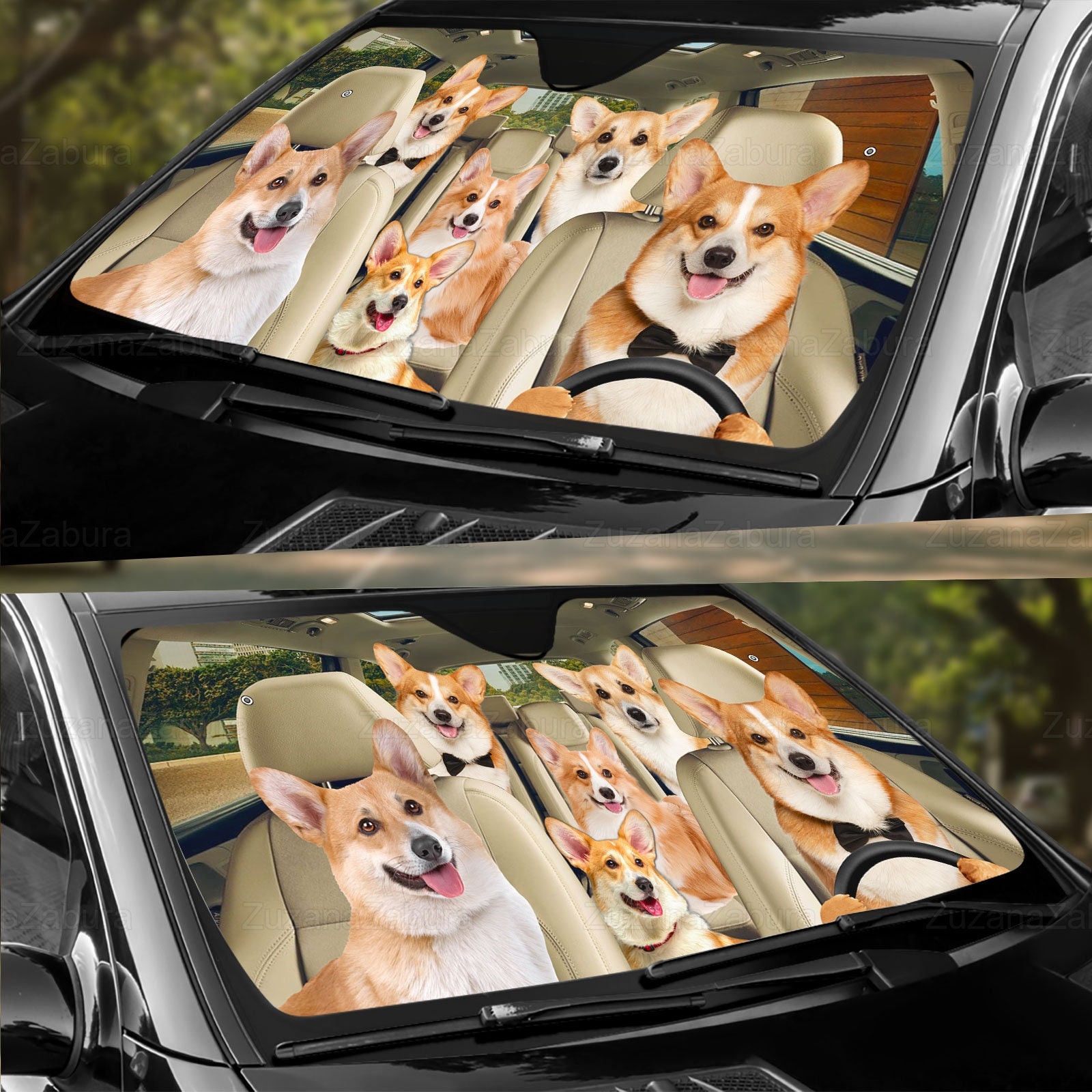 Family Car Sun Shade, Car Accessory, Car Windshield