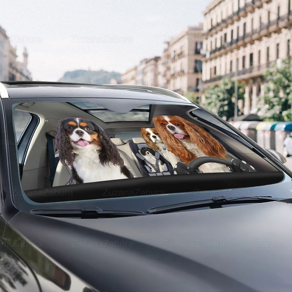 Cavalier King Charles Spaniel Auto-Sonnenschutz, Spaniel-Sonnenschutz,  Spaniel-Auto-Dekor, Spaniel-Auto-Sonnenschutz, Hund-Auto-Sonnenschutz,  Geschenk für Ihn -  Österreich