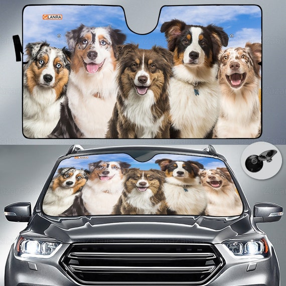 Australian Shepherd Auto Sonnenschutz, Australian Shepherd Auto Sonnenschutz,  Hund Auto Sonnenschutz, Australian Shepherd Geschenk, lustige Sonnenblende  Auto -  Österreich