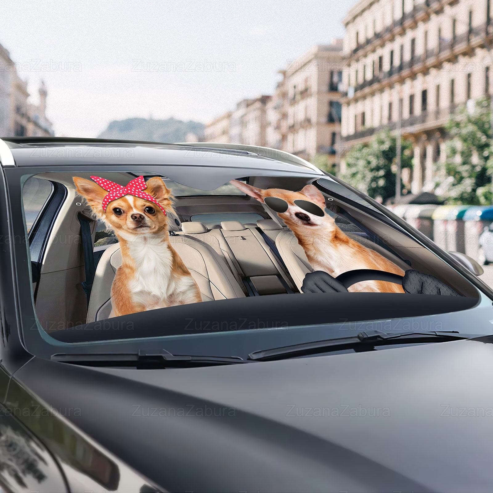 Exquisite drei Chihuahua Sicherheit Und Fahrer Auto Sonnenschutz  Windschutzscheibe Sonnenschutz Auto Zubehör Benutzerdefinierte Tier Hund  Muster Sonnenschirm