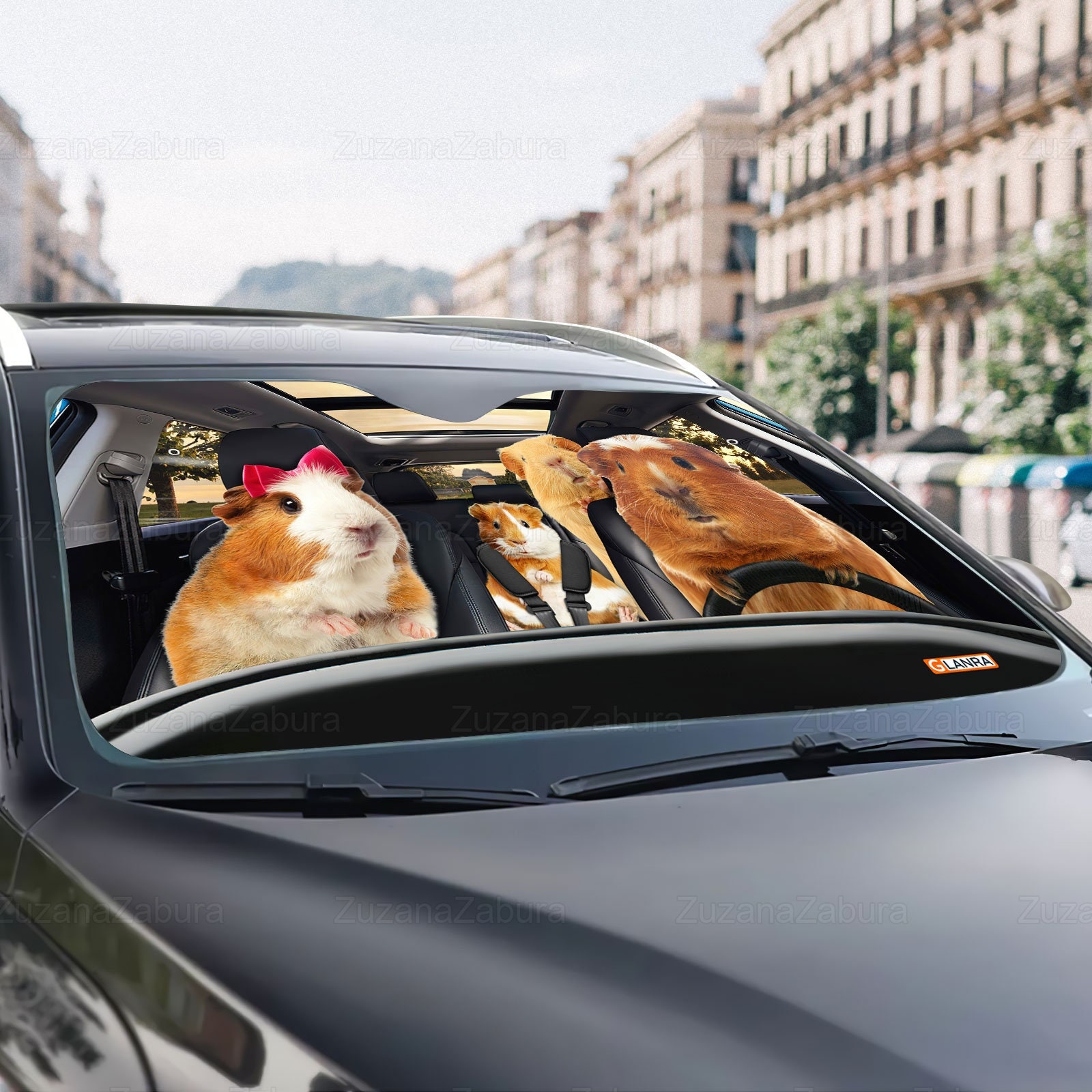Chien Chat Pare-brise de voiture Parasol Fenêtre avant Pare-soleil  Couvercle Uv Block Fenêtre Drôle Gardez votre véhicule au frais pour les  amoureux des animaux Cadeaux
