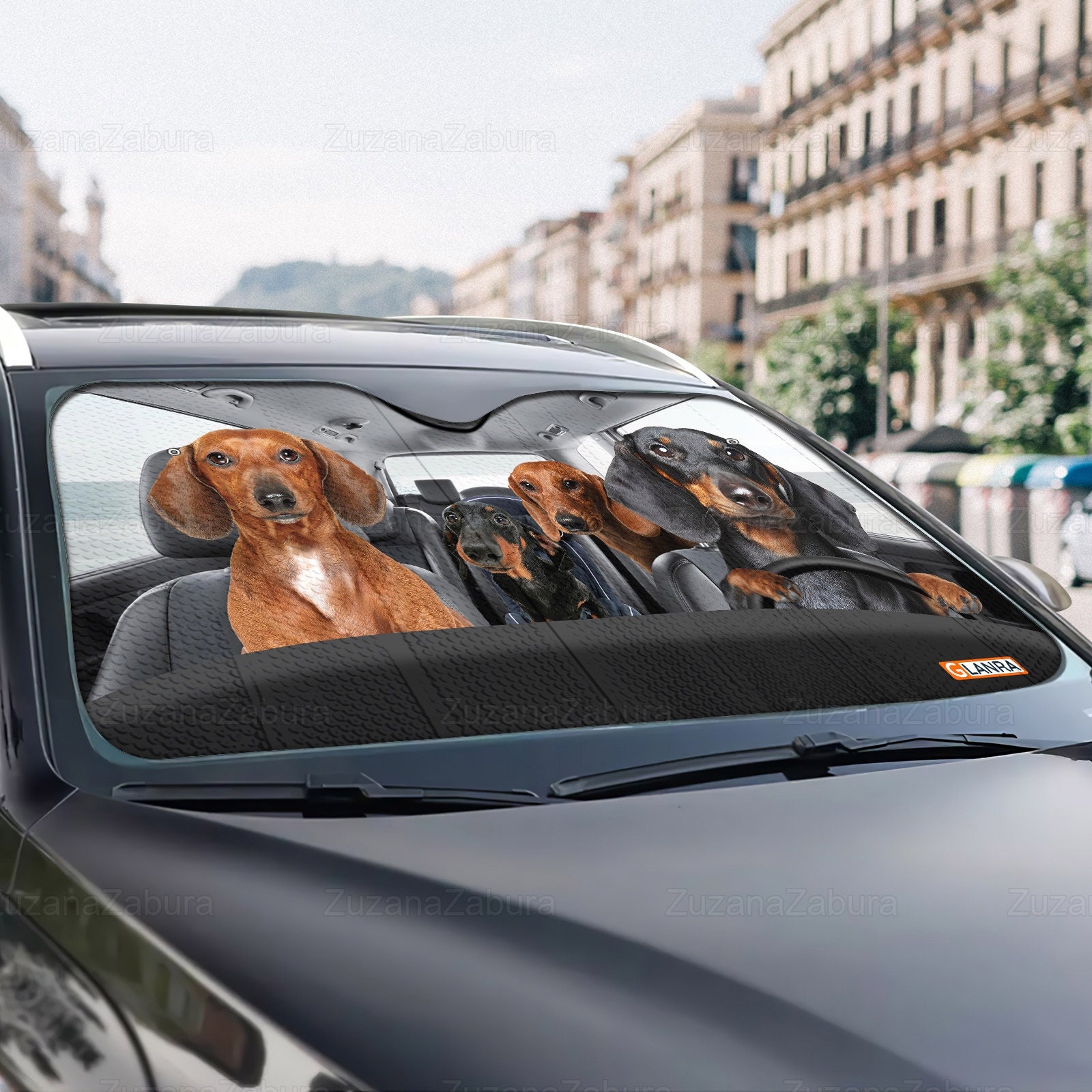 Ornement Solaire Chien Golden Retriever – Décoration Voiture, Maison, Bureau, Bras Qui Balance, écologique