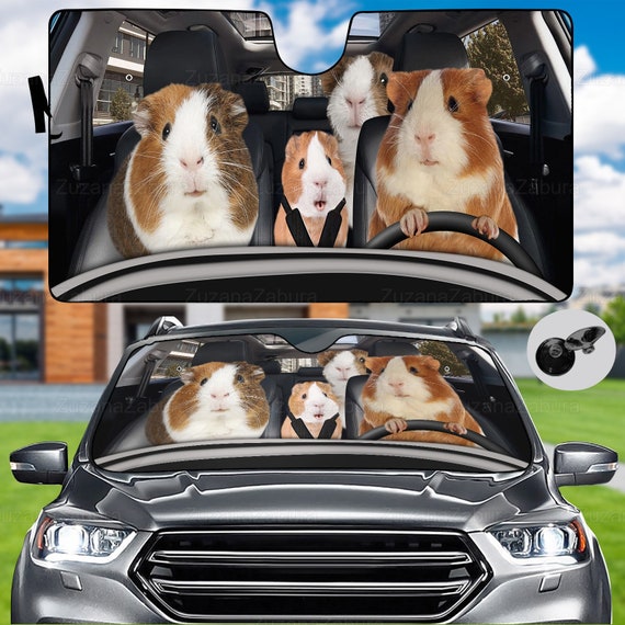 Meerschweinchen-Auto-Sonnenschutz, Meerschweinchen-Liebhaber-Geschenk,  Meerschweinchen-Autodekoration, Meerschweinchen-Sonnenschutz, Autoblenden  für Windschutzscheibe, Urlaubsgeschenk - .de