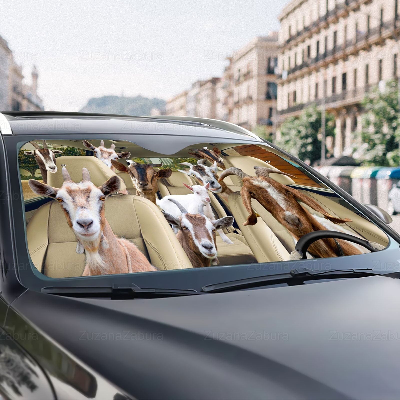 Car sun online shade funny