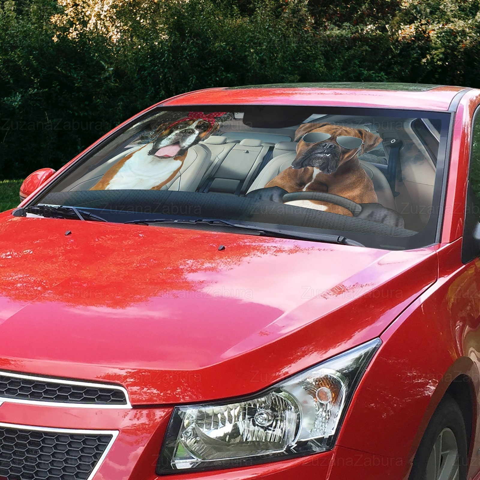 OSOLVE Boxer Hund Auto Sonnenschutz Auto Windschutzscheibe Fensterabdeckung  Sonnenschutz : : Auto & Motorrad
