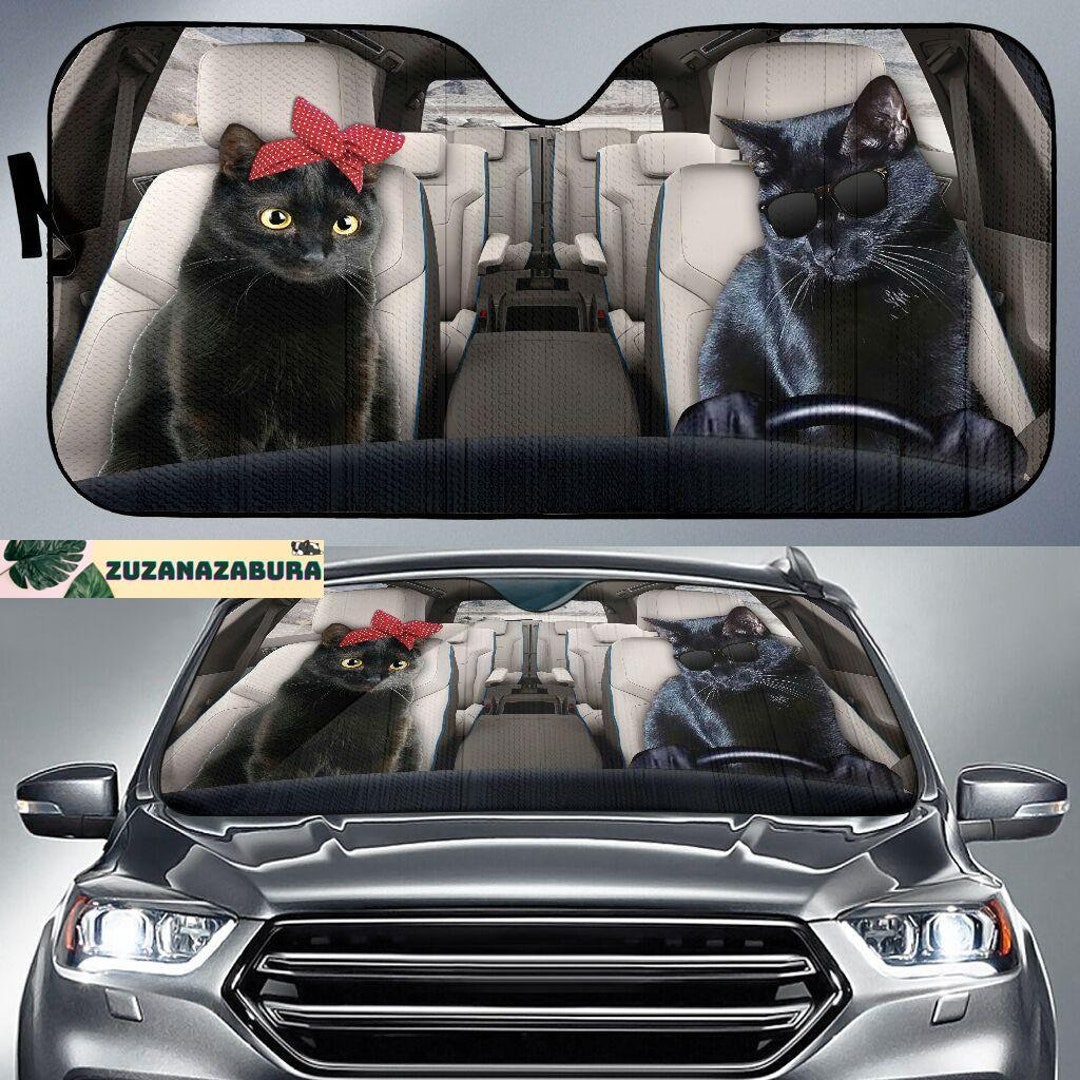 Black Cat On Car Meaning at Edith Benavides blog