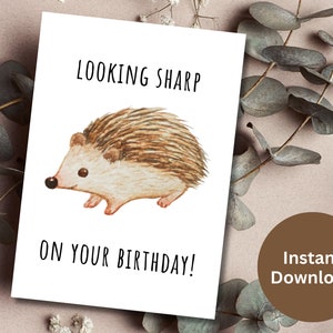 Funny Birthday Card Printable Birthday Gift For Her Digital Download Birthday Wishes Digital Pun Birthday Card Cute Porcupine Printable