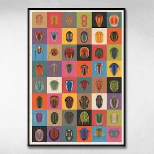 May include: A colorful poster featuring 36 illustrations of trilobites, an extinct marine arthropod. Each trilobite is depicted in a different color and pattern, arranged in a grid pattern.