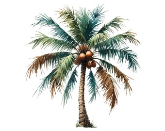 Imágenes prediseñadas de palmeras en acuarela, 12 imágenes PNG tropicales (descarga digital)
