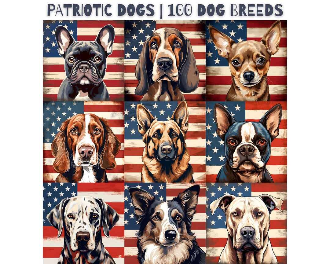 fourth of july dog dresses