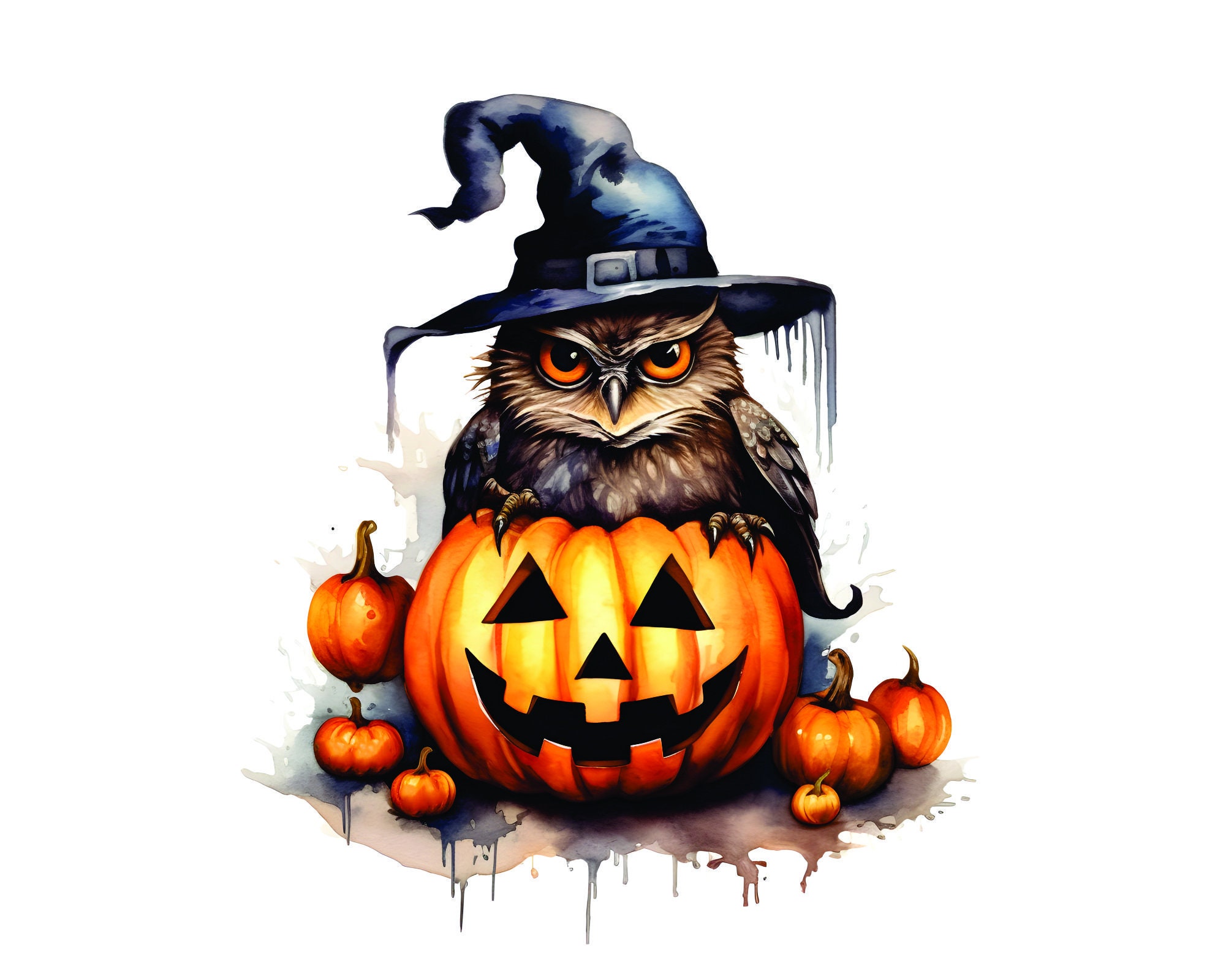 Halloween Witch Owl Clipart 16 Jpgs Watercolor Owl - Etsy