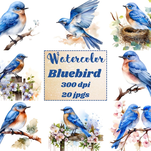 Bluebird Clipart, 20 High Quality JPGs, Watercolor Bluebird Bird Clip Art, Digital Paper Craft, Scrapbooking, Card Making, Commercial Use