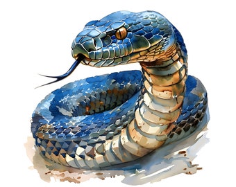 Könnte beinhalten: Eine blaue und schwarze Schlange mit einem gelben Auge, die sich zu einer Spirale zusammenrollt und ihre Zunge herausstreckt.