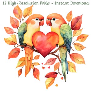 Clipart de papagaios de dia dos namorados em aquarela, pombinhos com coração PNG, sublimação de pássaros românticos, scrapbooking, criação de cartões, uso comercial